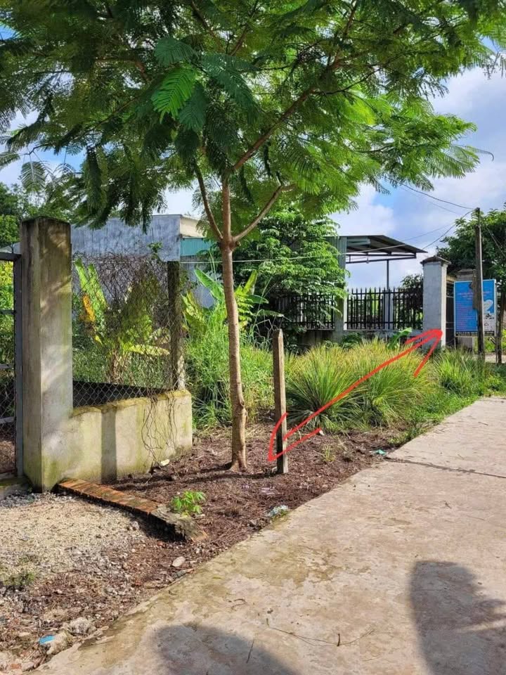 Đất nền Chơn Thành 605m² giá 1.8 tỷ - Đầu tư sinh lời ngay!