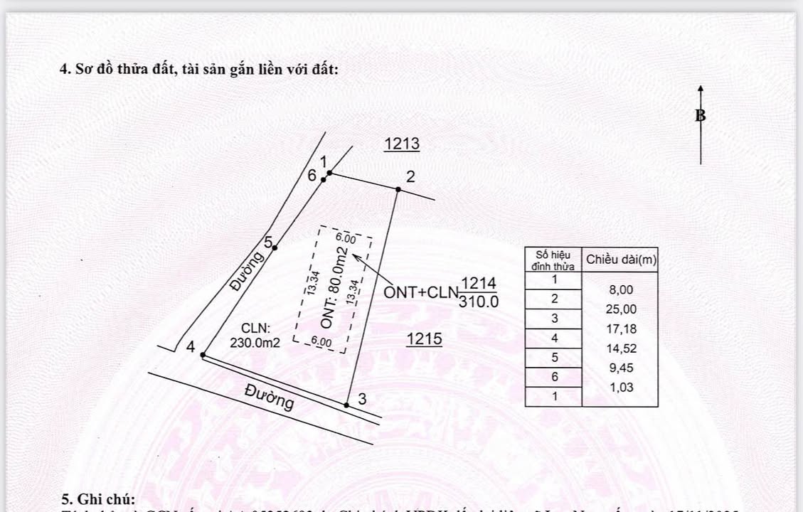 Đất 2 mặt tiền Lục Sơn - Lục Nam 300m² giá 500 triệu - Cơ hội đầu tư vàng!