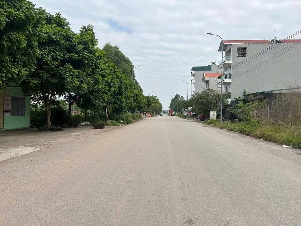 Đất nền đường Nguyễn Thái Học, Đa Mai 99m² giá 3.2 tỷ - Đầu tư sinh lời ngay!