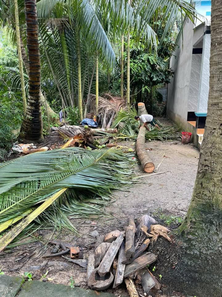 Đất nền Bình Phú Càng Long 145m² giá 250 triệu - Sổ hồng chính chủ!