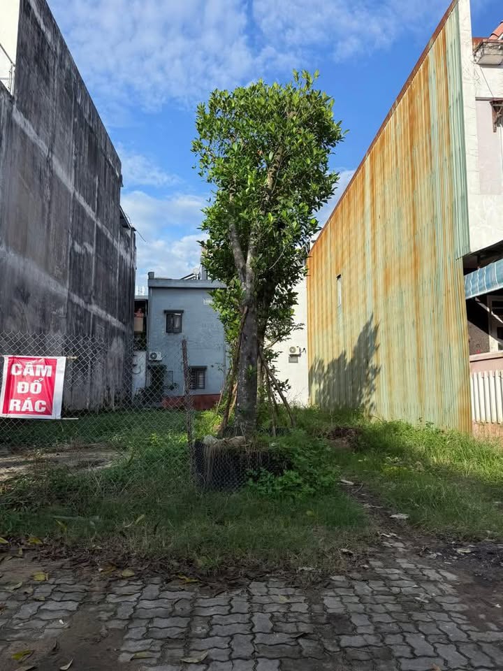 Đất nền Khu phố Chợ Túy Loan, Hòa Phong, Đà Nẵng 107m² giá 4 tỷ - Kinh doanh sầm uất!