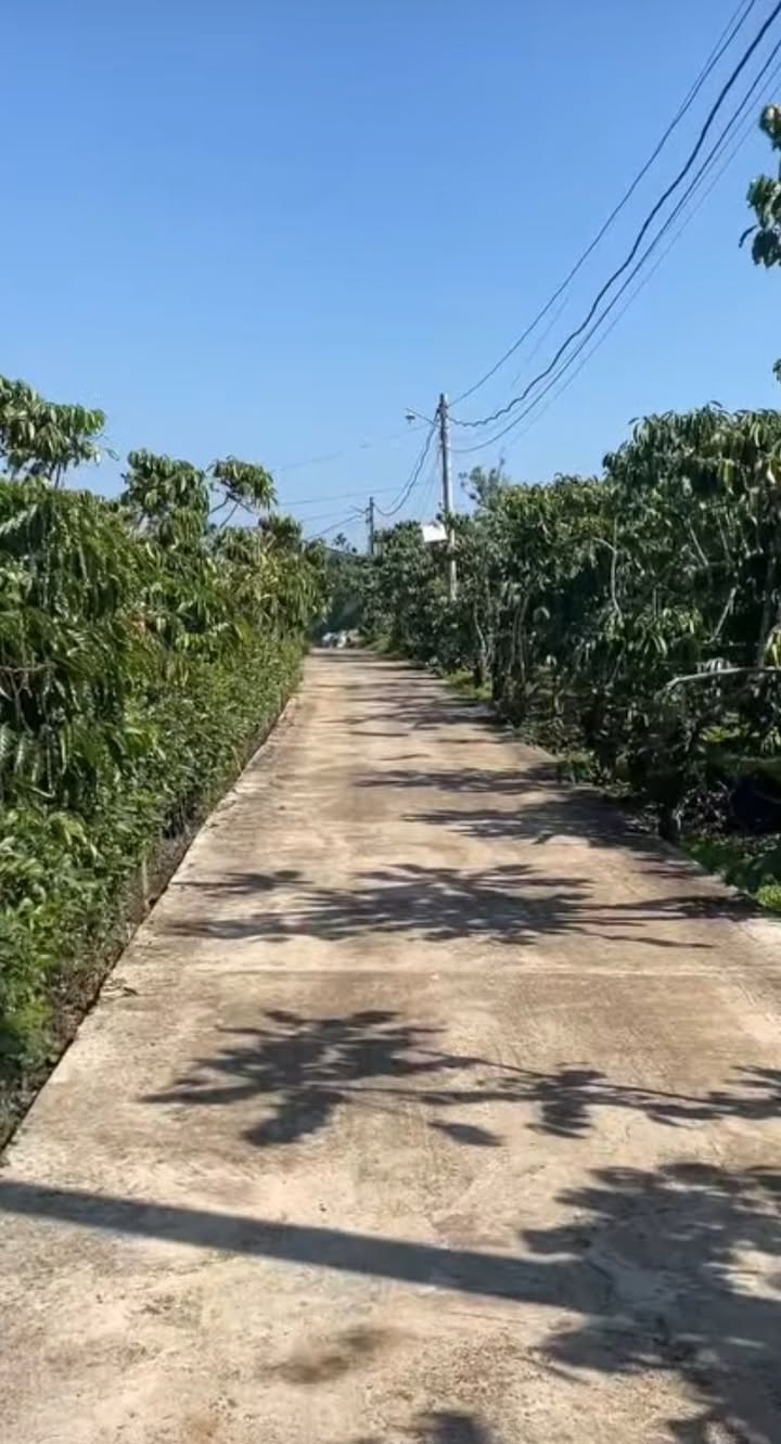 Đất nền Hẻm Đoàn Thị Điểm, Bảo Lộc 3157m² - Đầu tư sinh lời tuyệt vời!