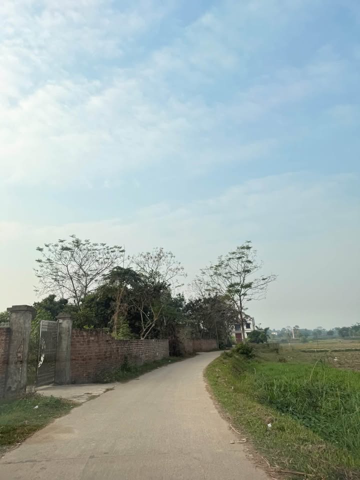 Đất thổ cư Tiên Phong 201m² giá 1 tỷ - Mặt tiền kinh doanh sầm uất!