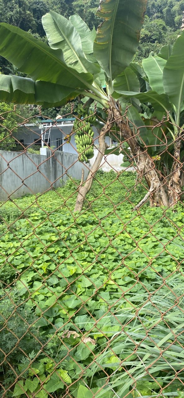 Đất nền 103m² tại phường Tô Hiệu, Sơn La giá chỉ 200 triệu - Cơ hội đầu tư tuyệt vời!