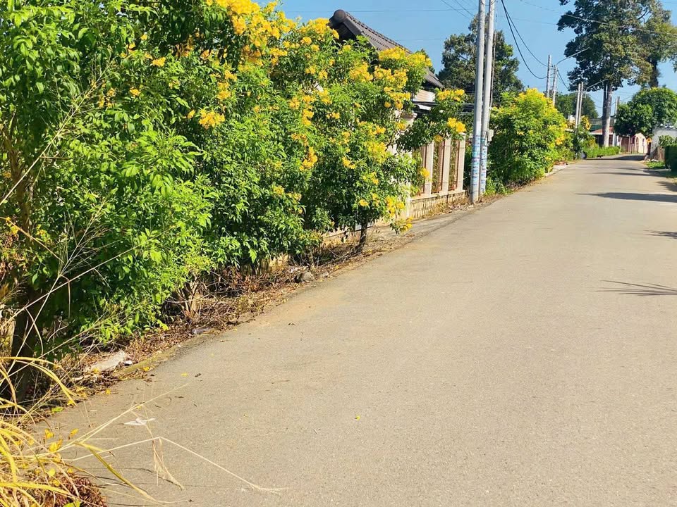 Lô đất 934m² Thị Trấn Đất Đỏ, Bà Rịa - Vũng Tàu giá 2.2 tỷ - Đầu tư sinh lời ngay!