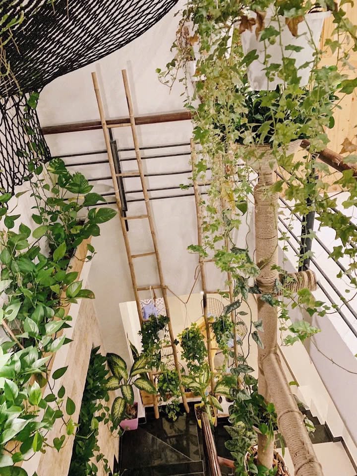 Nhà mặt tiền đường Lý Tự Trọng, Vũng Tàu 65m² giá 12.5 tỷ - Sổ hồng hoàn công, thương lượng ngay!