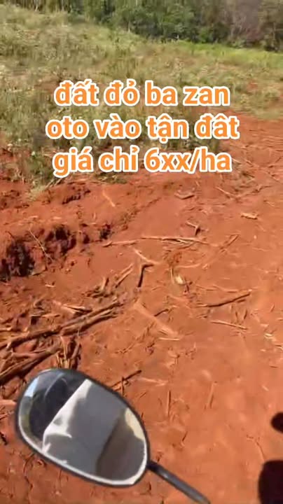 Đất nông nghiệp xã Ia Chia, Ia Grai, Gia Lai 23.000m² - Giá chỉ 600 triệu, đầu tư sinh lời!