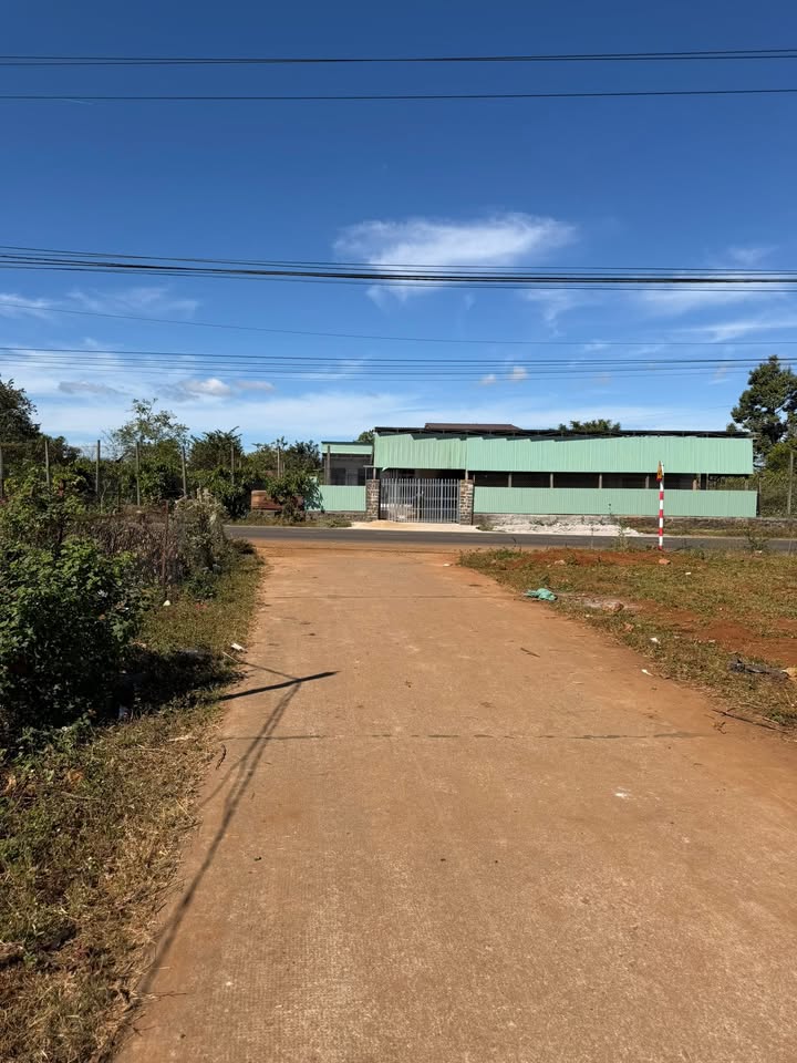 Đất nền lô góc Đào Duy Từ 260m² giá 1.5 tỷ - Đầu tư sinh lời lý tưởng!