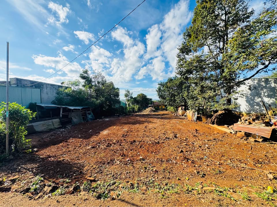 Đất Mặt Tiền Dã Tượng Nối Dài 125m² giá 700 triệu - Cơ hội đầu tư tuyệt vời!