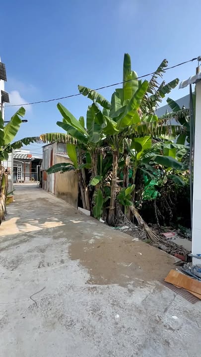 Nhà cấp 4 tại Phước Lâm, Cần Giuộc 102m² giá 1.65 tỷ - Sổ đỏ chính chủ, gần chợ!