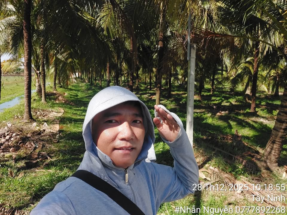 Đất thổ cư 235m² tại Chợ Phước Thạnh, Gò Dầu - Giá chỉ 650 triệu!