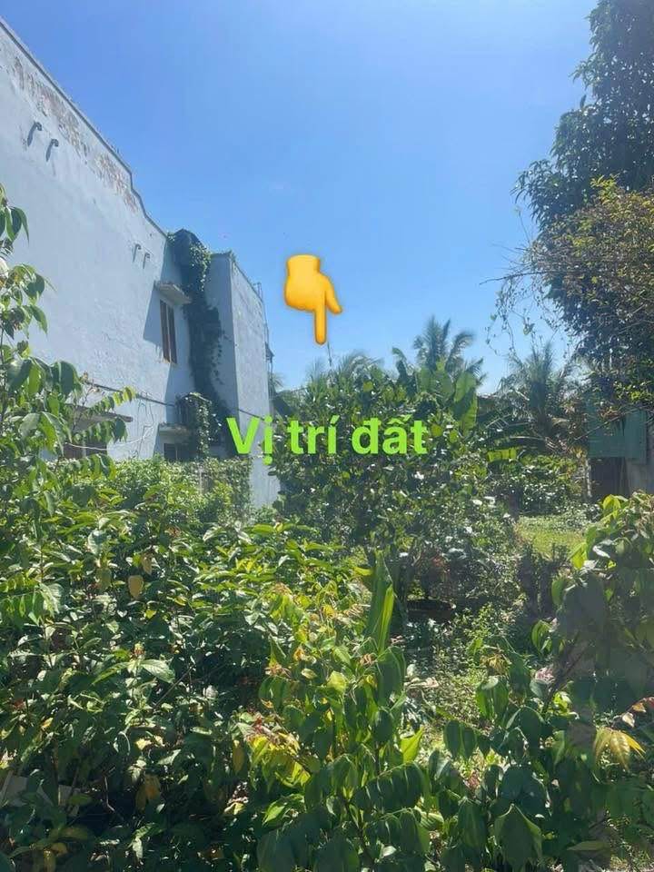 Đất nền Long Phú, Tân Châu, An Giang 90m² giá 720 triệu - Cơ hội đầu tư hấp dẫn!