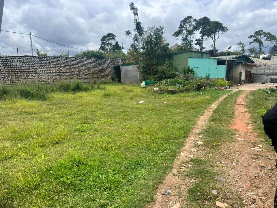 Đất nền Đà Lạt 115m² giá 1.5 tỷ - Sẵn sàng xây dựng ngay!