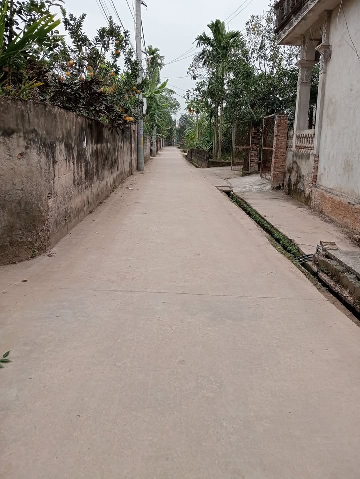 Đất Vĩnh Lộc, Thư Phú, Thường Tín 76,3m² giá 3,815 tỷ - Chính chủ bán gấp!