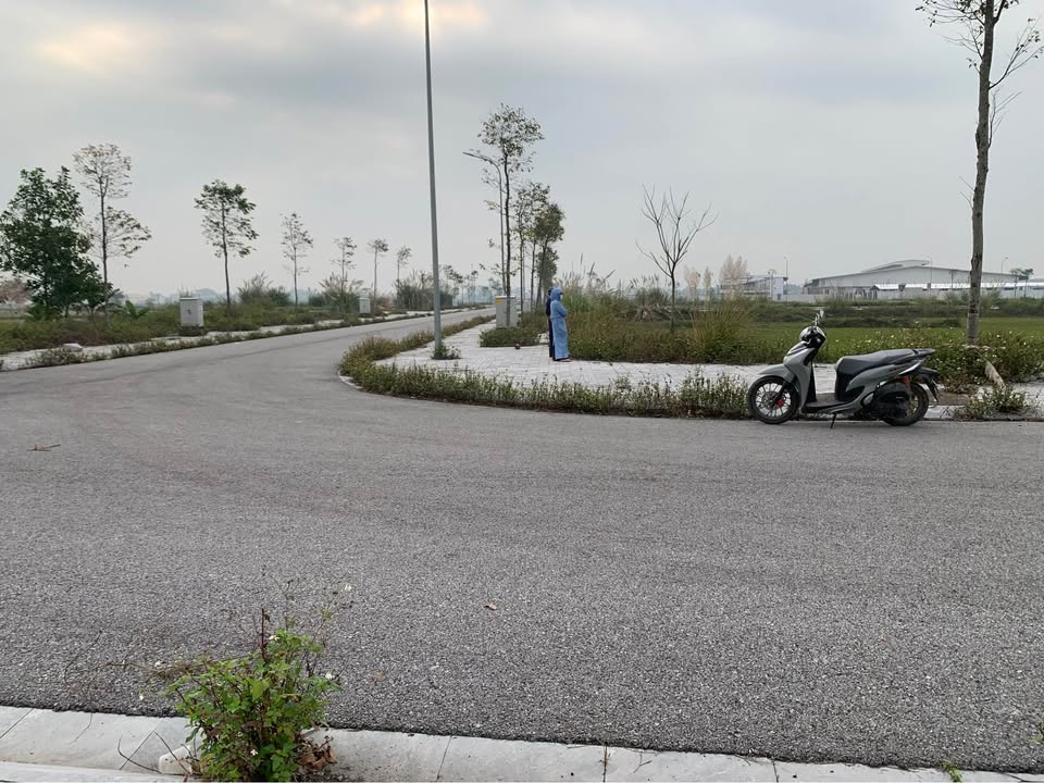 Đất nền Quảng Trạch 127m² giá 1.3 tỷ - Sổ đỏ chính chủ!