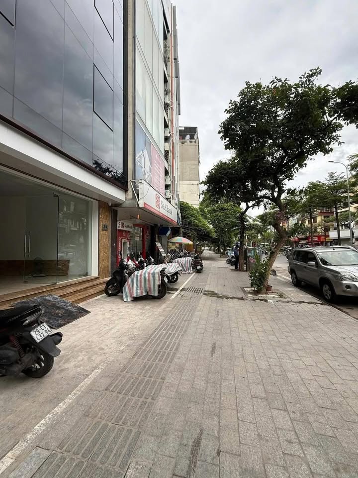 Nhà mặt phố Đào Tấn, quận Ba Đình 160m² giá 1xx tỷ - Vị trí đắc địa, sẵn sàng giao dịch!