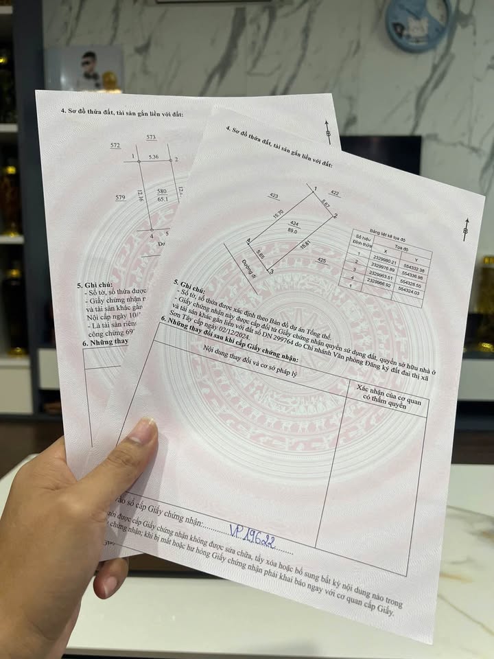 Đất nền Cổ Liễn Sơn Tây 89m² giá 2 tỷ - Cơ hội đầu tư hấp dẫn!