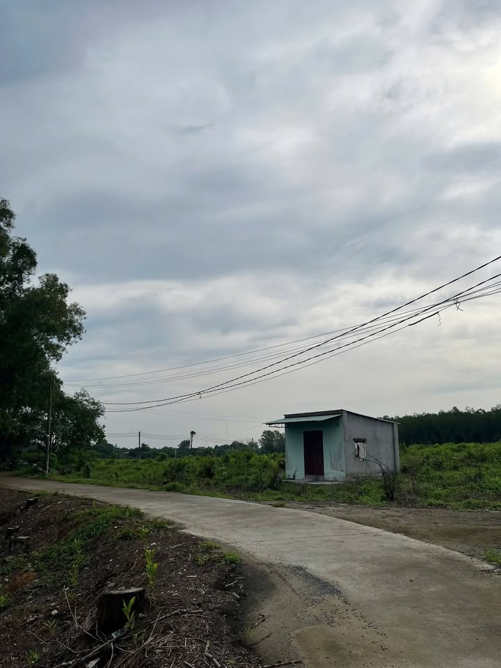 Đất nền Tân Triều Vĩnh Cửu 12.000m² giá 19 tỷ - Đầu tư sinh lời hấp dẫn!