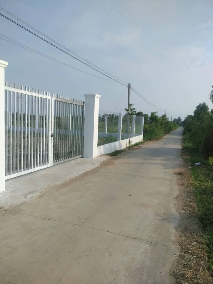 Đất nền Bến Tre 529m² giá 650 triệu - Sổ đỏ chính chủ, thuận tiện đầu tư