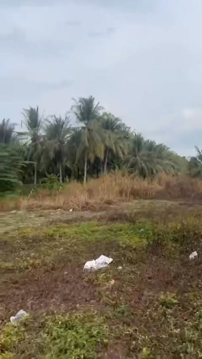 Đất mặt tiền tuyến tránh Nhị Quý, 884.5m² giá 5.8 tỷ - Cơ hội đầu tư tuyệt vời!