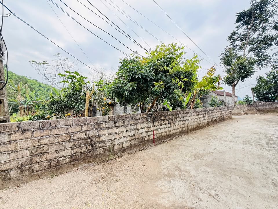 Đất thổ cư Lương Sơn 117m² giá thỏa thuận - Lô góc 2 mặt tiền đẹp!