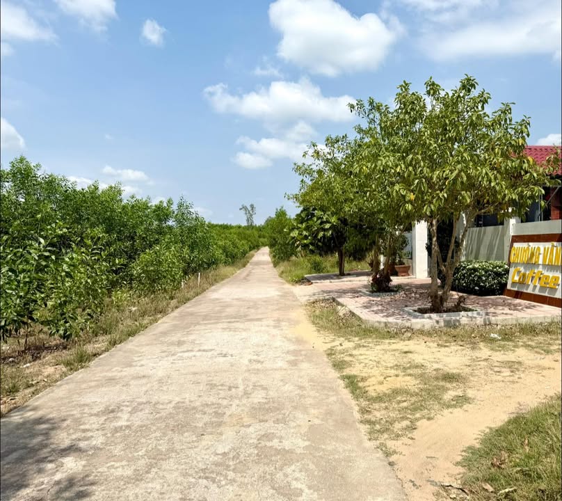 Đất thổ cư 200m² tại Xuân Hòa, chỉ 550 triệu - Đầu tư sinh lời ngay!