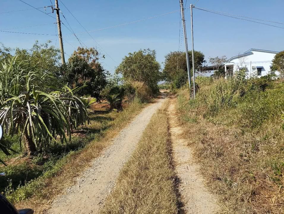 Lô đất trống 25.200m² tại Tân Lập, Hàm Thuận Nam - Giá chỉ 1,75 tỷ!