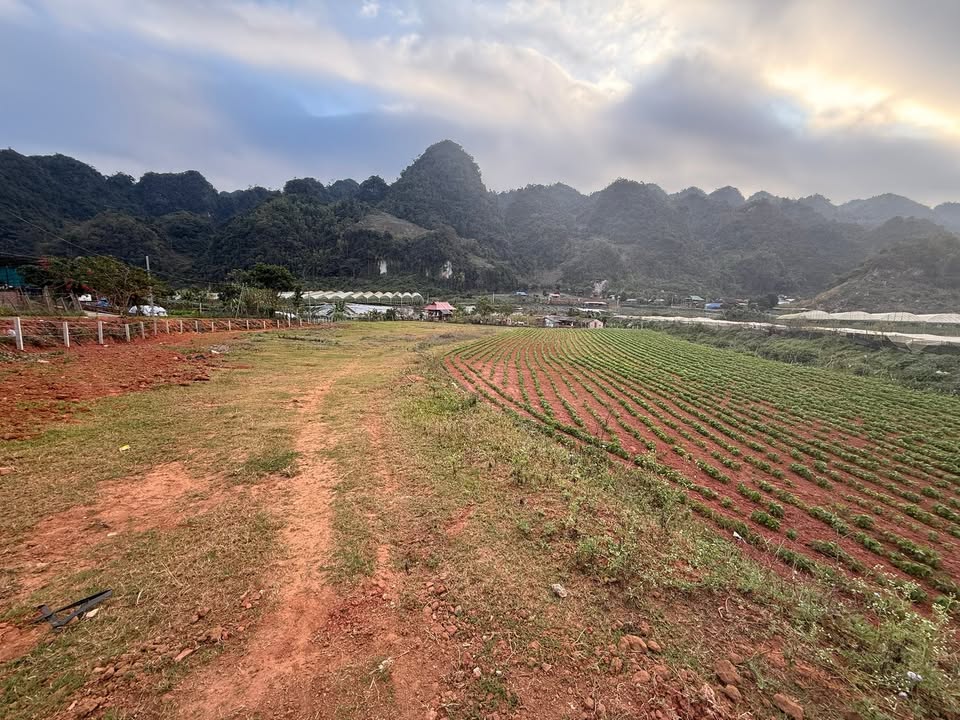 Đất nền Mộc Sơn Mộc Châu 6500m² - View suối đẹp mê hồn!