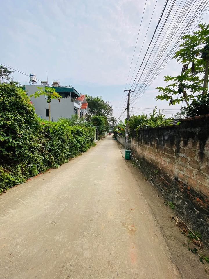 Đất nền chính chủ An Tường 206.87m² giá 2 tỷ - Đầu tư sinh lời ngay!