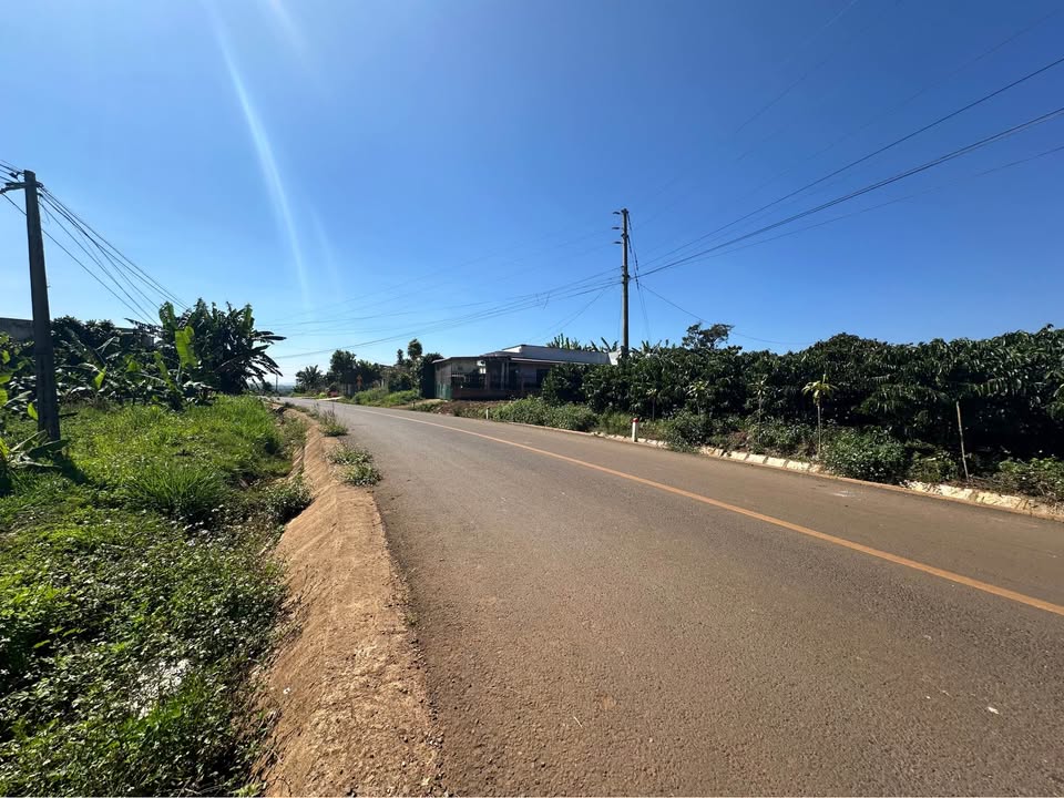 Đất thổ cư Hòa Ninh, Di Linh 122m² giá chỉ 155 triệu - Sổ đỏ chính chủ!