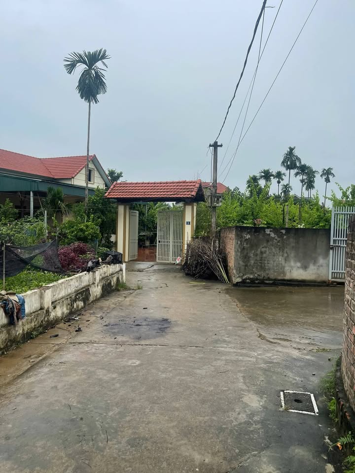 Đất nền Tích Giang Phúc Thọ 86m² giá 2x triệu - Sổ đỏ chính chủ, ô tô vào tận đất!