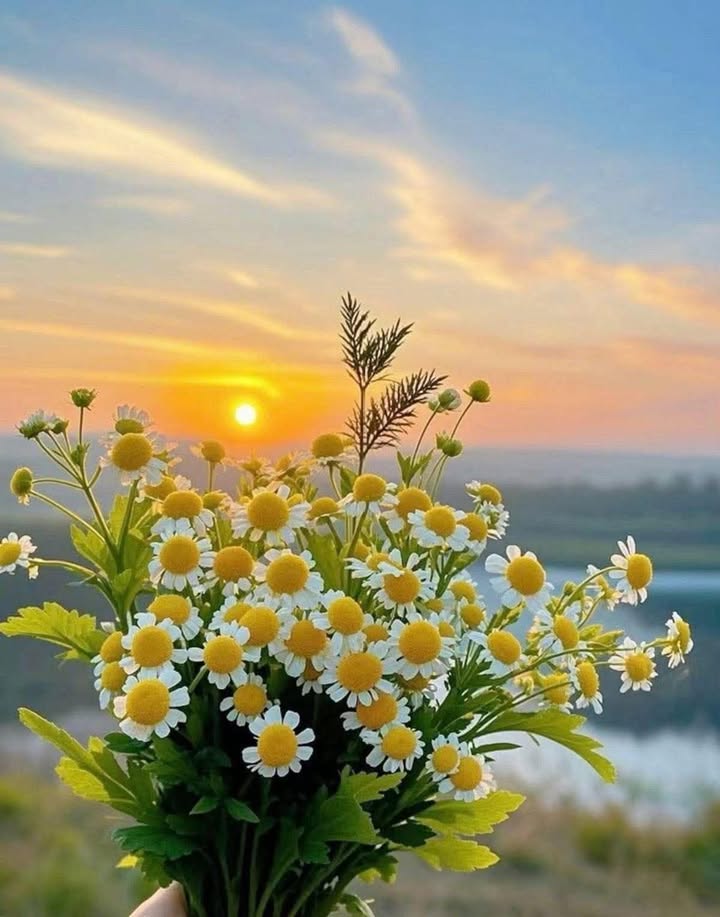 Đất Hưng Long - Ba Ngòi 2880m² - Đường ô tô, hợp thổ, giá thỏa thuận!