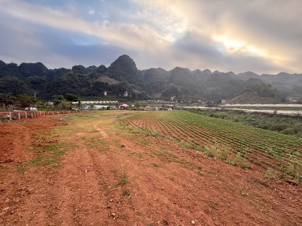 Đất nền đẹp tại khu rừng thông Mộc Sơn - 4400m² - Cơ hội đầu tư hấp dẫn!