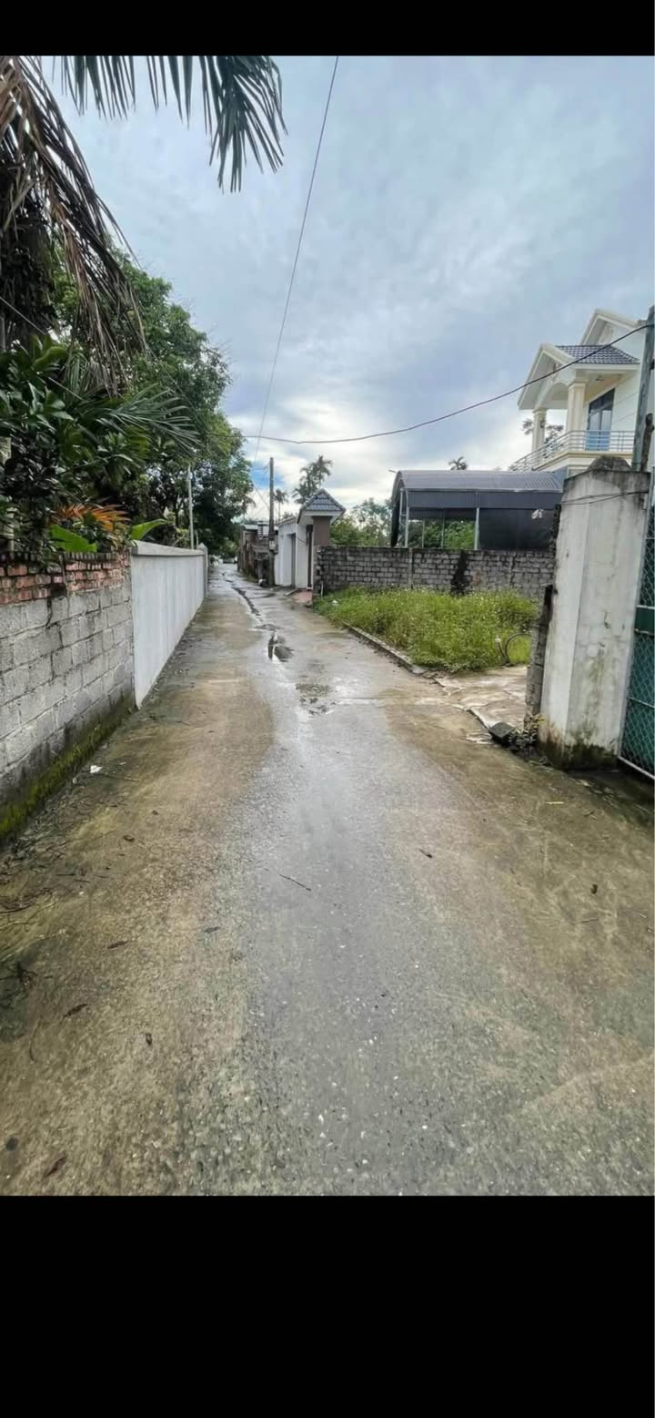 Đất nền chính chủ Hòa Mạc, Duy Tiên 68m² giá chỉ 1.299 tỷ - Đầu tư sinh lời ngay!