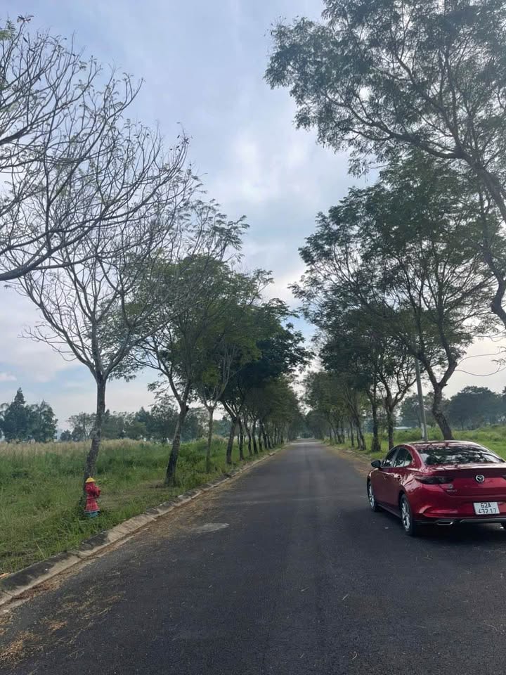 Đất nền chính chủ tại đường số 10, phường Long An, Tân An - Diện tích 144m², giá chỉ 5.1 tỷ