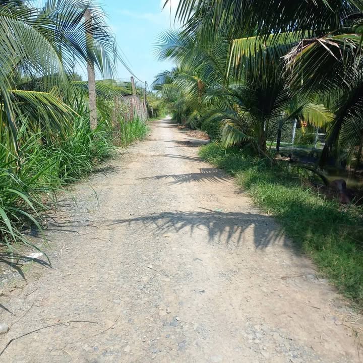 Đất lúa 2 công tại xã Trung Hoà, Chợ Gạo - Giá chỉ 1.8 tỷ, thương lượng ngay!