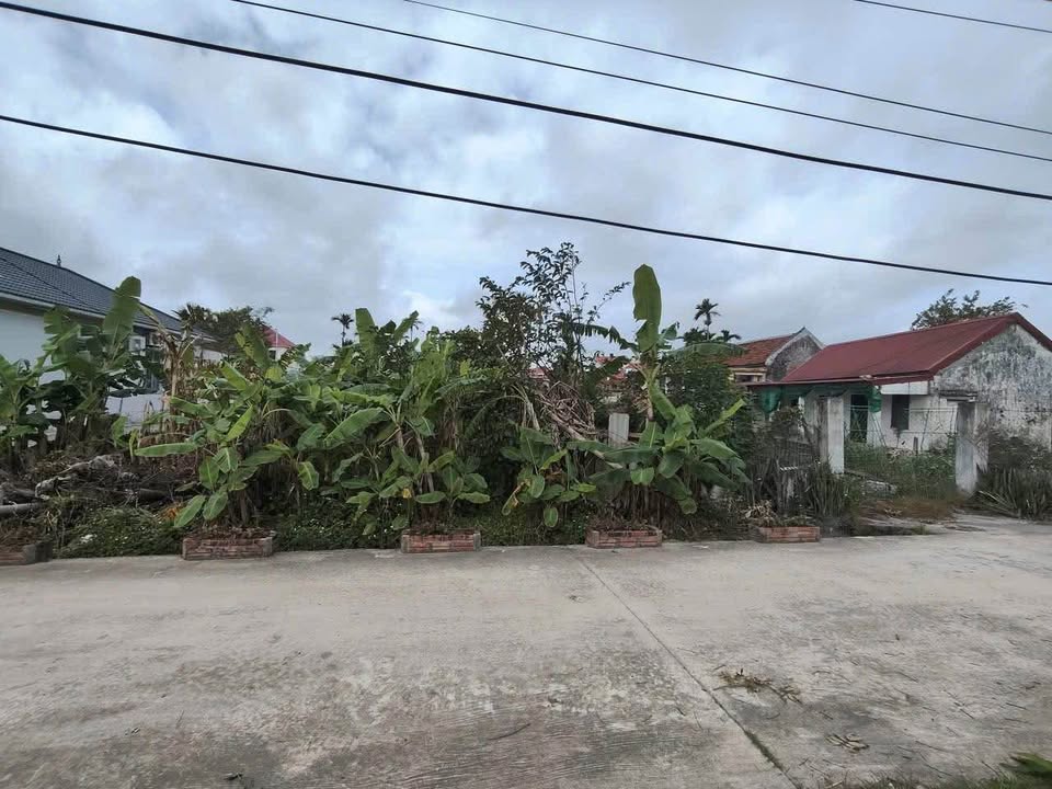 Đất thổ cư xã Hồng Phong 245m² giá 1 tỷ - Đường ô tô tránh nhau