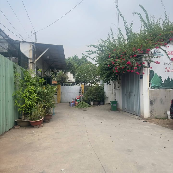 Đất hẻm 1m Đường Lê Trọng Tấn, Bình Hưng Hòa, Bình Tân 174m² giá 14 tỷ - Thương lượng nhẹ!