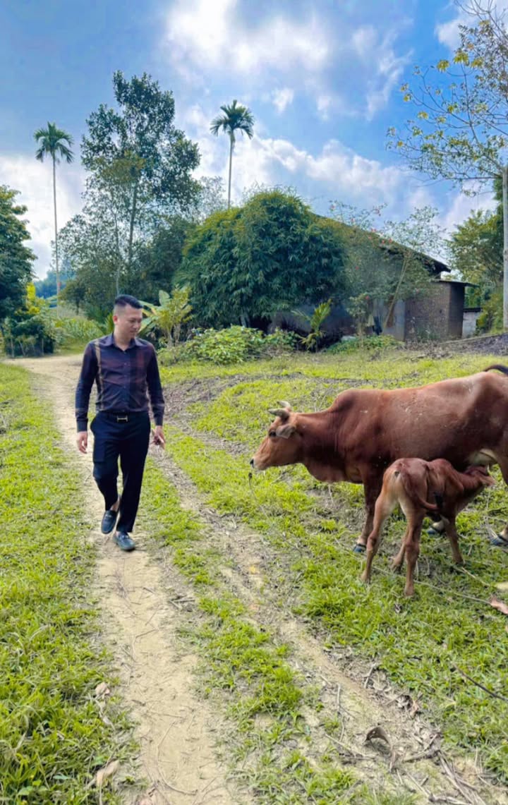 Farm Ngọc Đồng Yên Lập 14.500m² giá 2 tỷ - Đất bằng đẹp gần suối