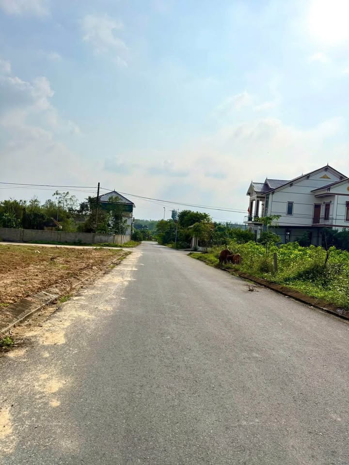 Đất Hoàn Trạch Bố Trạch 162m² giá 600 triệu - Cơ hội đầu tư tuyệt vời!