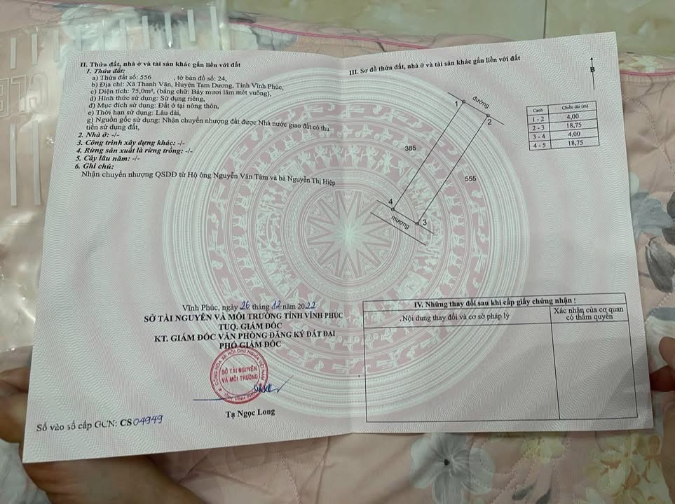 Đất nền Thanh Vân - Tam Dương 75m² giá chỉ 800 triệu - Cơ hội vàng không thể bỏ lỡ!