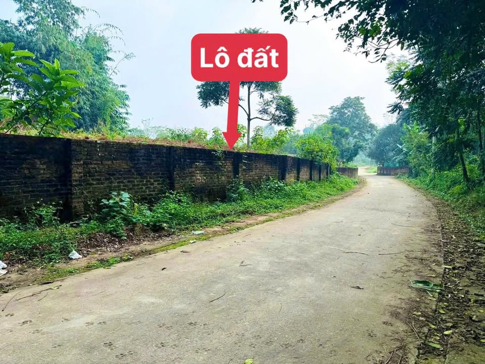 Đất thổ cư Lập Thạch 115m² giá chỉ 5xx triệu - Lô góc 2 mặt tiền thuận lợi!