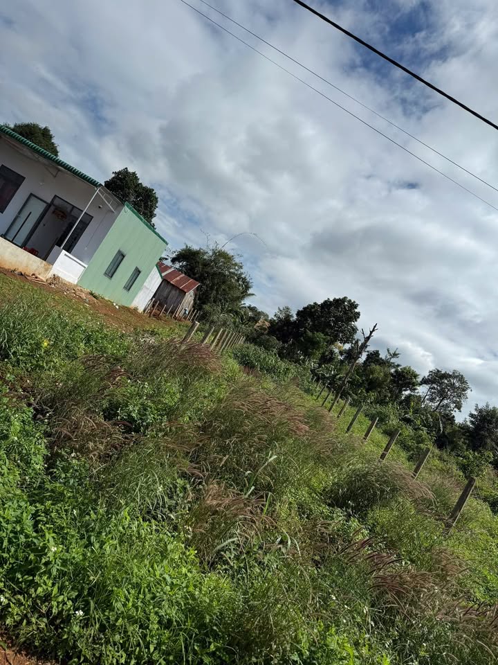 Đất thổ cư Đạt Hiếu 288m² giá 790 triệu - Đường nhựa, dân cư hiện hữu!