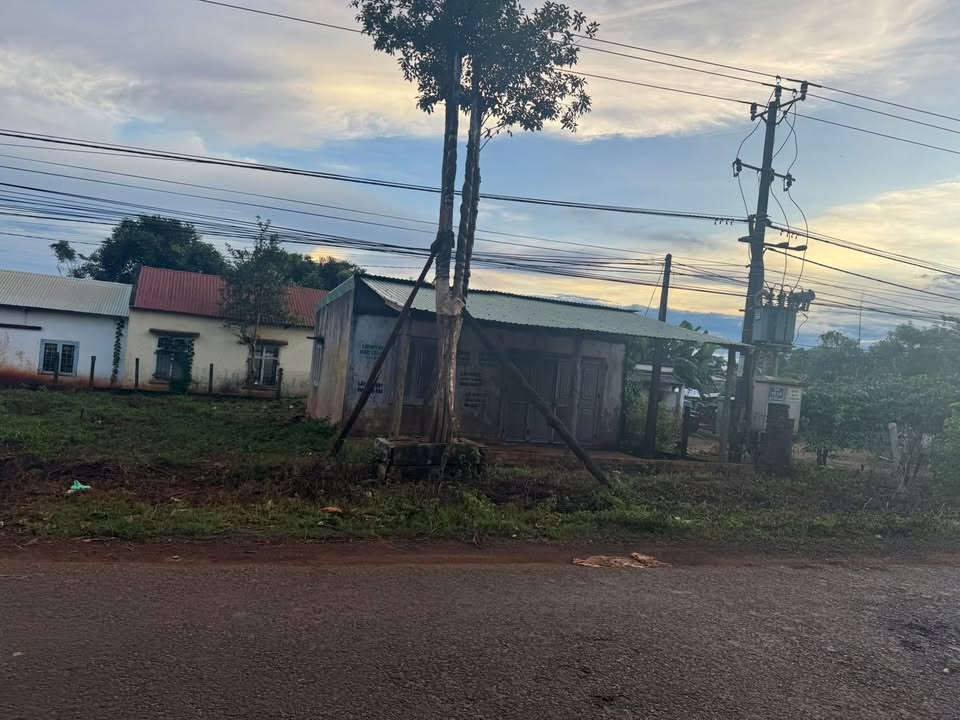 Đất thổ cư 22m² mặt tiền đường liên xã Ia HLốp, Chư Sê - Cơ hội đầu tư tuyệt vời!