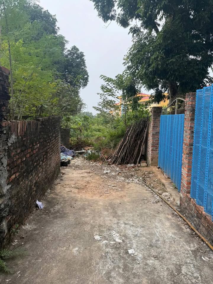 Đất nền chính chủ Xuân Hoà Phúc Yên 1600m² giá chỉ 14.4 tỷ - Cơ hội đầu tư tuyệt vời!