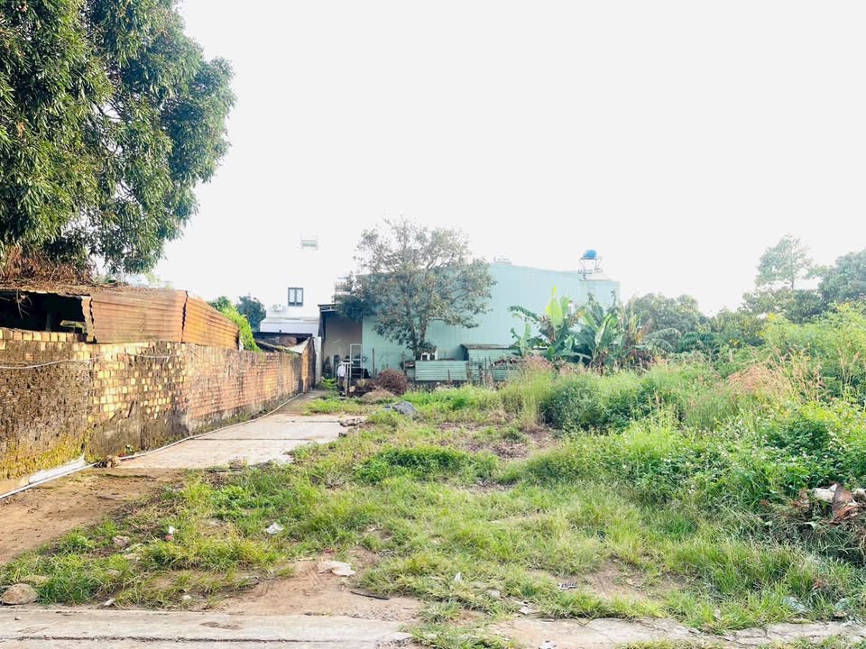 Đất nền biệt thự 308 Trường Chinh 352.51m² giá 3.3 tỷ - Đầu tư sinh lời ngay!