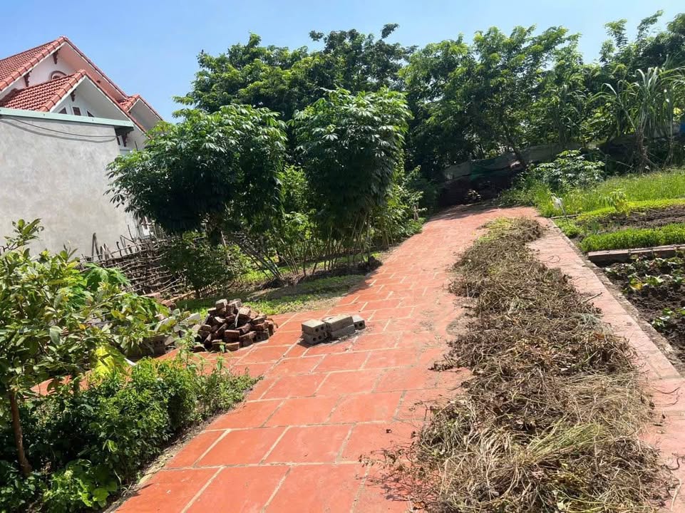 Đất góc 67,2m² Hưng Long - Đường ô tô vào tận nơi, giá chỉ 1 tỷ!