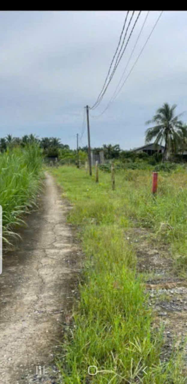 Đất nền Bình Tâm, Tân An 165m² giá 600 triệu - Đầu tư sinh lời dễ dàng!