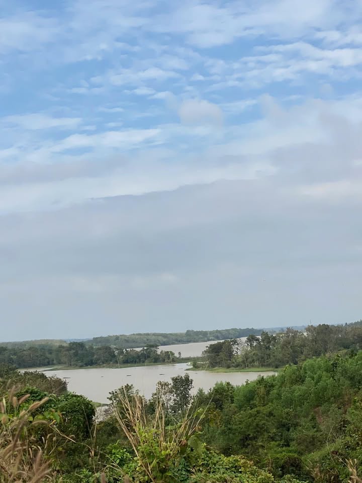 Đất Farm 3.5ha tại Thôn 15, xã Ea Wer - Giá 650 triệu, Tiềm năng đầu tư lớn!