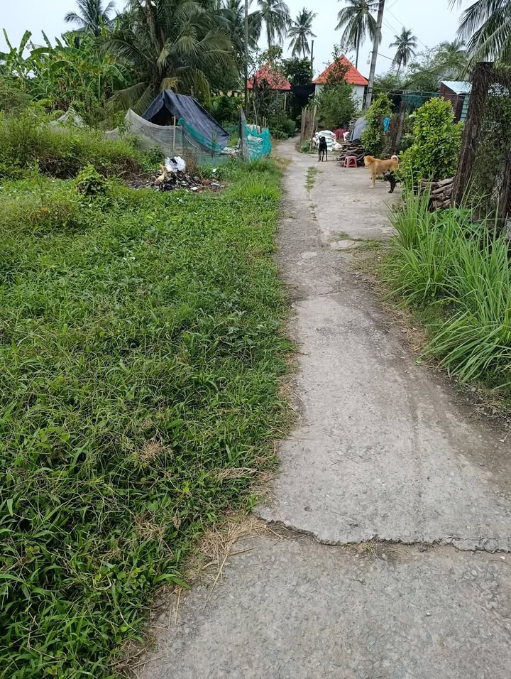 Đất nền 1842m² tại Ấp 1, Lạc Tấn, Tân Trụ, Long An - Giá chỉ 900 triệu!